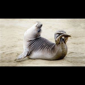 I am flexible make me an offer